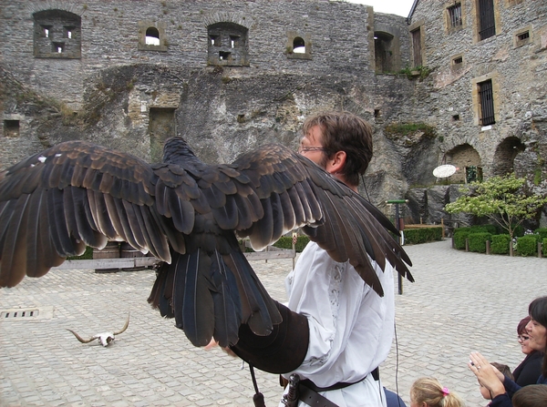 Rochehaut Juli 2014 091