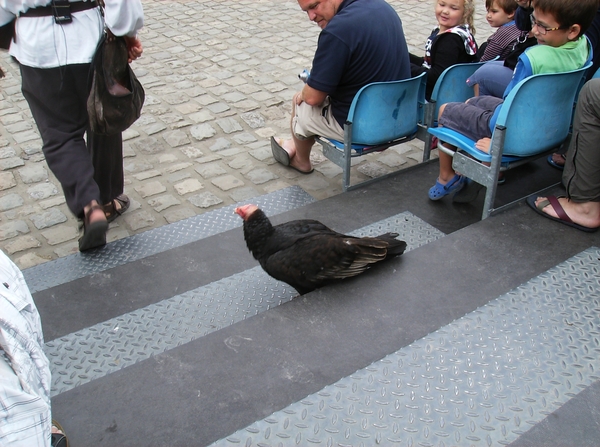 Rochehaut Juli 2014 092