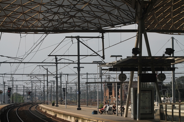 Meyboom 2014 Pers 079