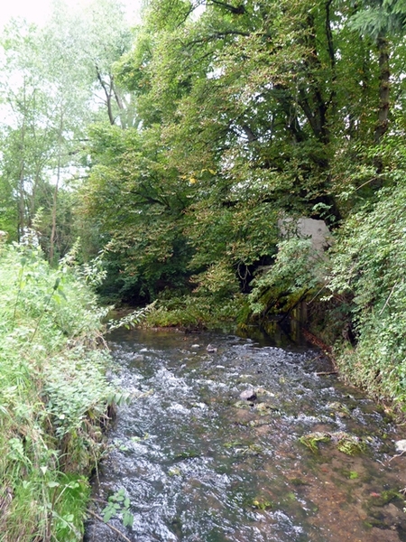 063-De Ijse in Loonbeek