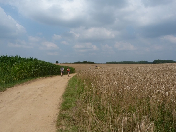 091-Terugweg naar Huldenberg met panoramische zichten..
