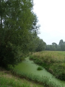11-Natuurgebied-Gemene Weidebeek