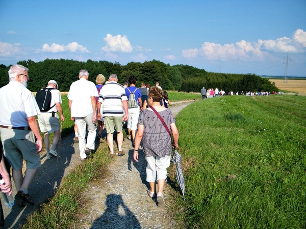 promenade estivale omezee