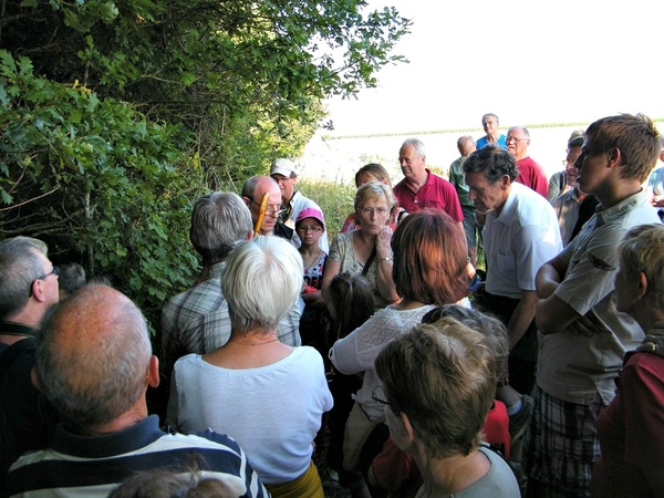 promenade estivale omezee