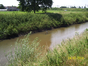 Wandelen met zeezicht - 24 juli 2014