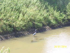 Wandelen met zeezicht - 24 juli 2014