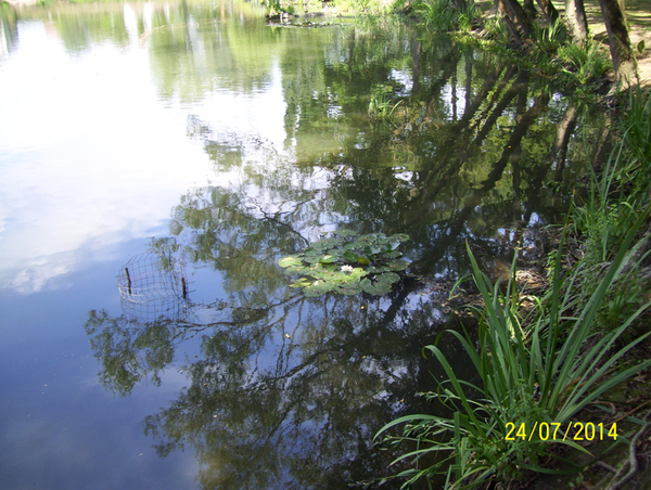 Wandelen met zeezicht - 24 juli 2014