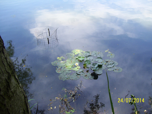 Wandelen met zeezicht - 24 juli 2014