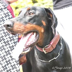 natte poten dolle neuzen 2014IMG_3718-3718