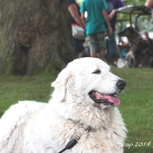 natte poten dolle neuzen 2014IMG_3751-3751