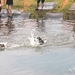 natte poten dolle neuzen 2014IMG_3823-3823