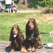 natte poten dolle neuzen 2014IMG_3958-3958
