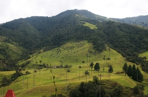 Salento Valle de Cocura