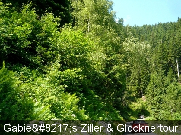 058_P1350385_2014_06_11_Ziller&Glocknertour_ZillertalerHoehenstra