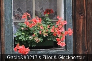 125_IMG_7875_2014_06_14_Ziller&Glocknertour_BruckAnDerGrossglockn