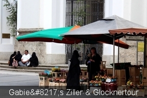 225_IMG_8208_2014_06_16_Ziller&Glocknertour_BruckAnDerGrossglockn