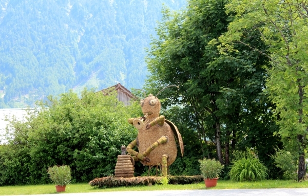 135_IMG_7889_2014_06_14_Ziller&Glocknertour_BruckAnDerGrossglockn