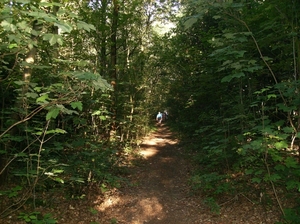 Zandhoven Augustus 2014 001