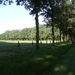Zandhoven Augustus 2014 003