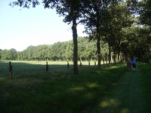 Zandhoven Augustus 2014 003
