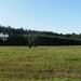 Zandhoven Augustus 2014 004