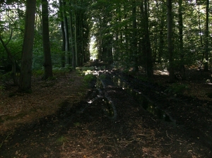 Zandhoven Augustus 2014 010