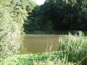 Zandhoven Augustus 2014 011