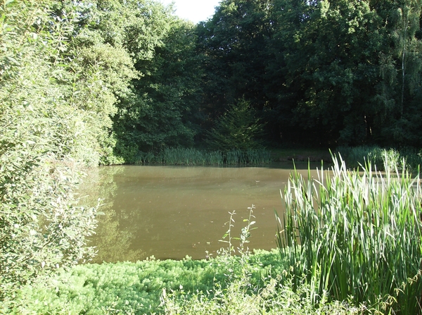 Zandhoven Augustus 2014 011