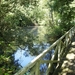 Zandhoven Augustus 2014 013