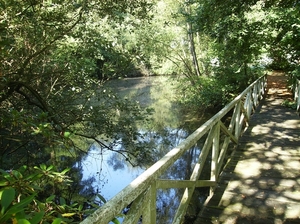 Zandhoven Augustus 2014 013