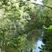 Zandhoven Augustus 2014 014