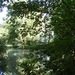 Zandhoven Augustus 2014 015