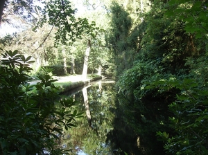 Zandhoven Augustus 2014 016