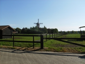 Zandhoven Augustus 2014 018