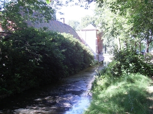 Zandhoven Augustus 2014 024