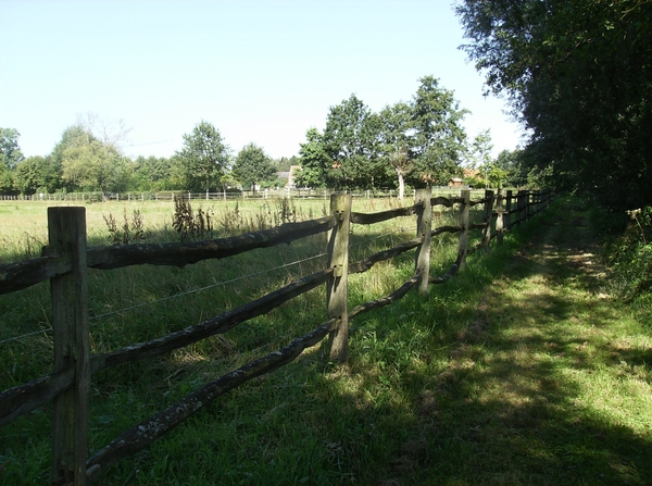 Zandhoven Augustus 2014 029