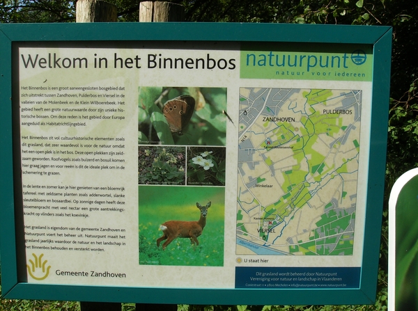 Zandhoven Augustus 2014 030