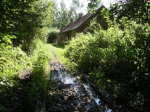 Zandhoven Augustus 2014 033