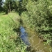 Zandhoven Augustus 2014 034