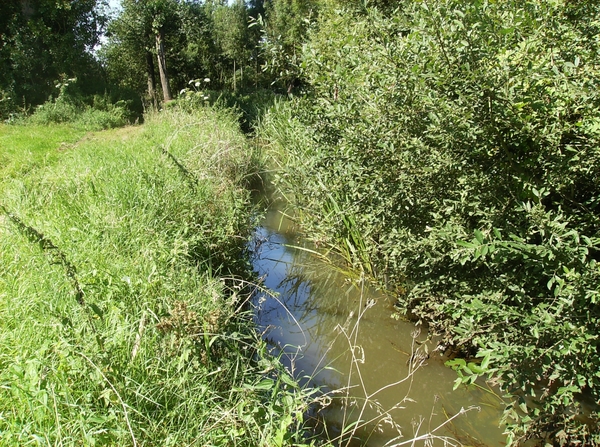 Zandhoven Augustus 2014 034