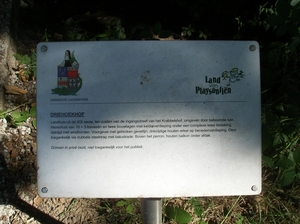 Zandhoven Augustus 2014 036