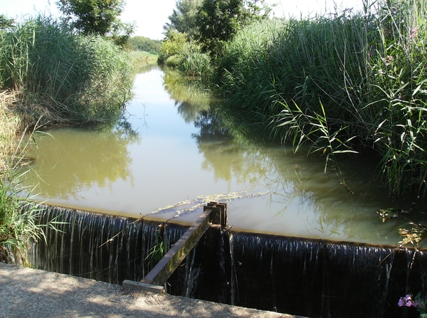 Zandhoven Augustus 2014 039