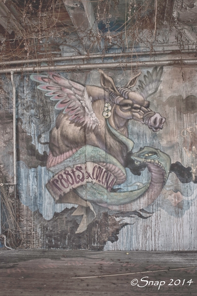 Vervallen drukerij brugge IMG_3482-3482-bewerkt