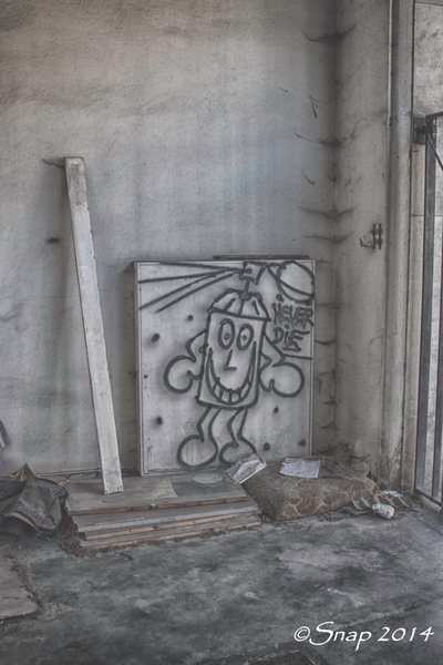 Vervallen drukerij brugge IMG_3493-3493-bewerkt