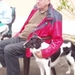 preicheid 2007-2008 016