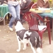 preicheid 2007-2008 019