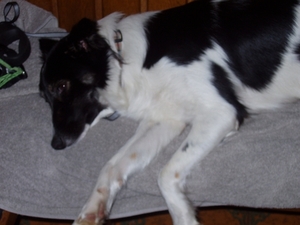 preicheid 2007-2008 020