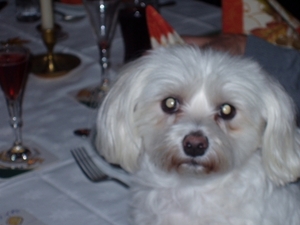 preicheid 2007-2008 031