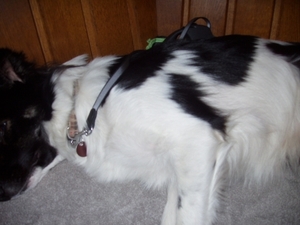preicheid 2007-2008 032
