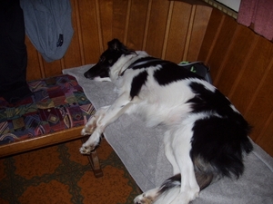 preicheid 2007-2008 034